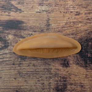 Field Mushroom Prosthetic (Latex)