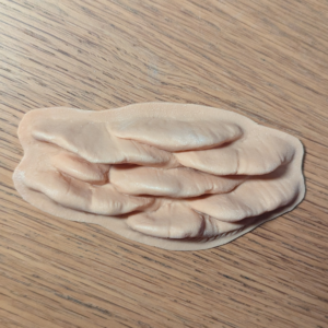 Chicken of the Woods Mushroom Prosthetic (Latex)