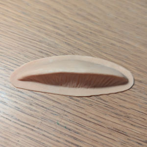 Field Mushroom Prosthetic (Latex)